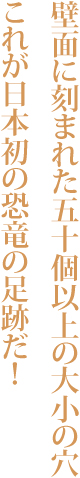 恐竜の足跡